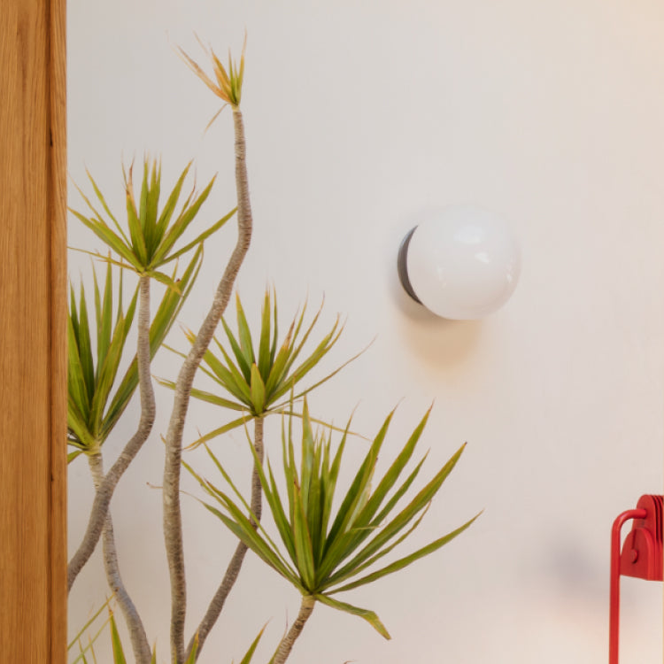 Sconces